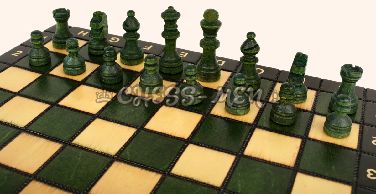 Шахматы Вояж (магнитные, зелёные)