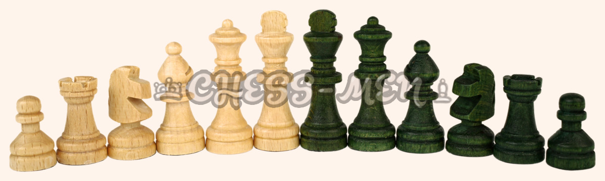 Шахматы Вояж (магнитные, зелёные)