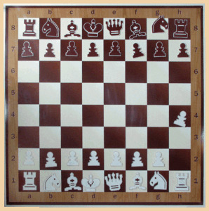 Шахматы, шашки демонстрационные нескладные (100 на 100 см)