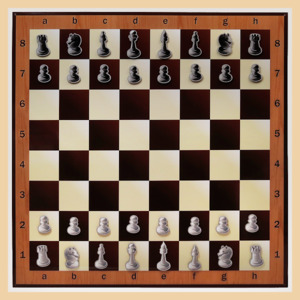 Шахматы, шашки демонстрационные нескладные (100 на 100 см)