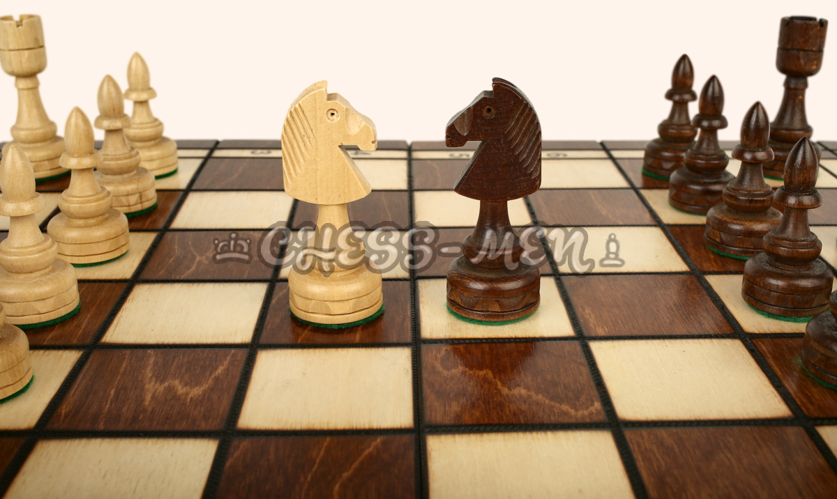 Шахматы Индия