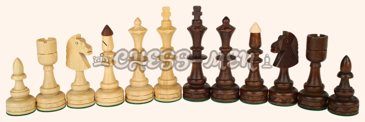 Шахматы Индия