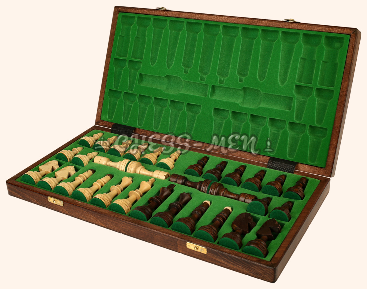 Шахматы Индия