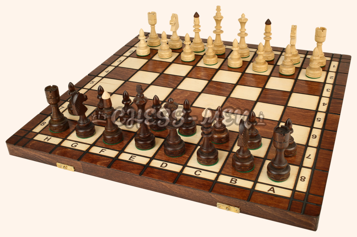 Шахматы Индия