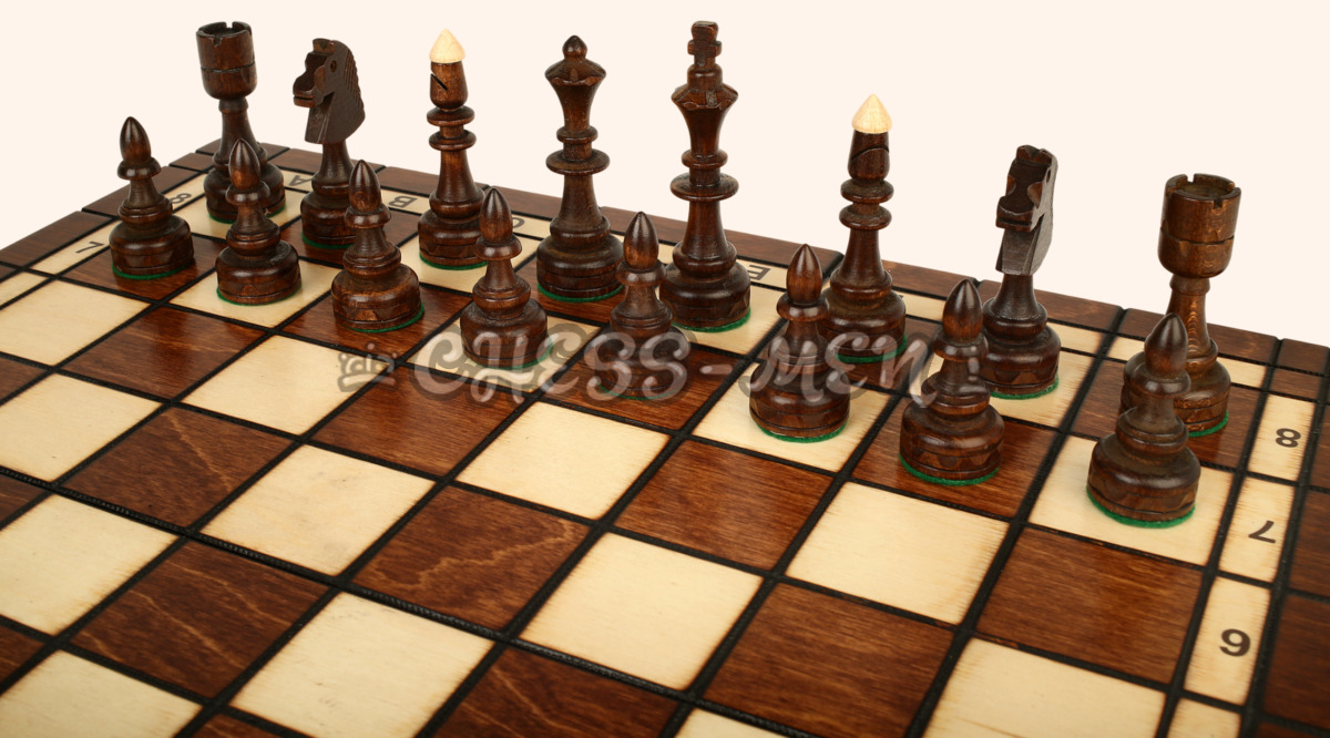 Шахматы Индия