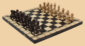 Шахматы, шашки Фигурные